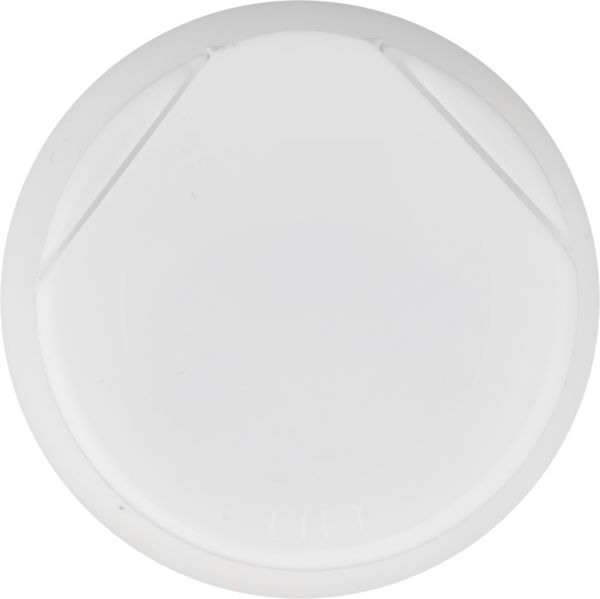 Planogram Top