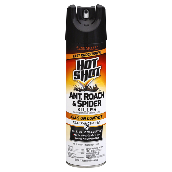 Hot Shot Ant Roach Spider Killer Fragrance-Free - 17.5 oz can