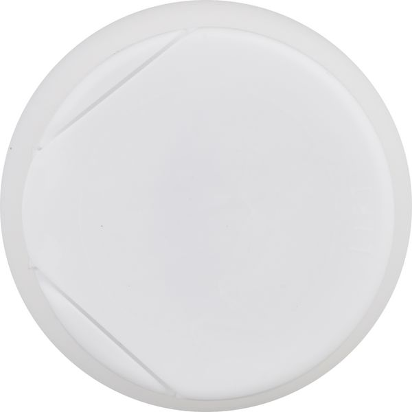 Planogram Top