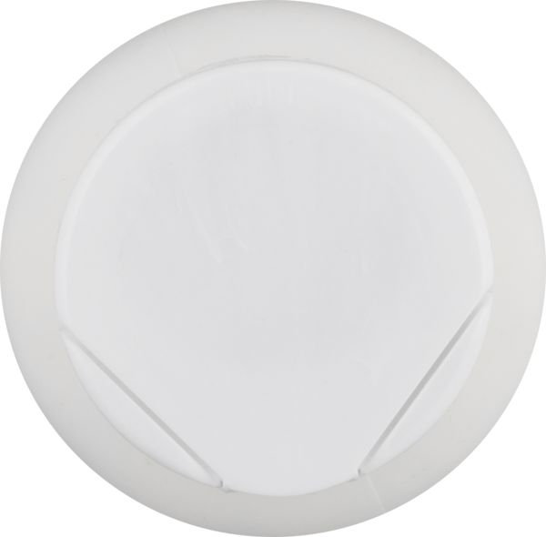 Planogram Top