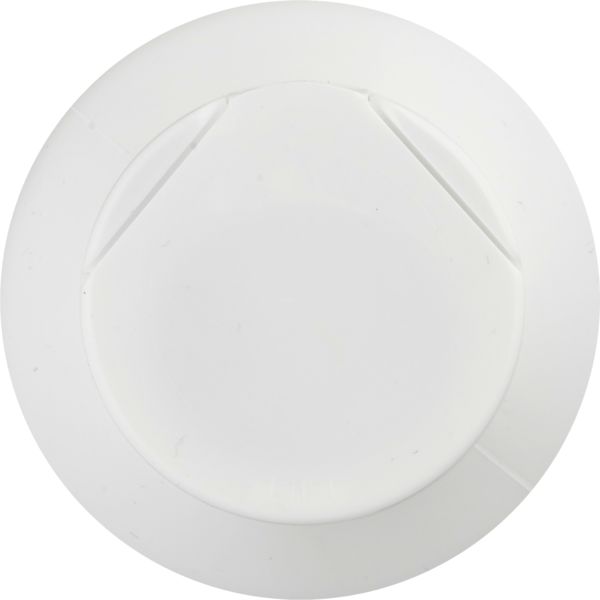 Planogram Top