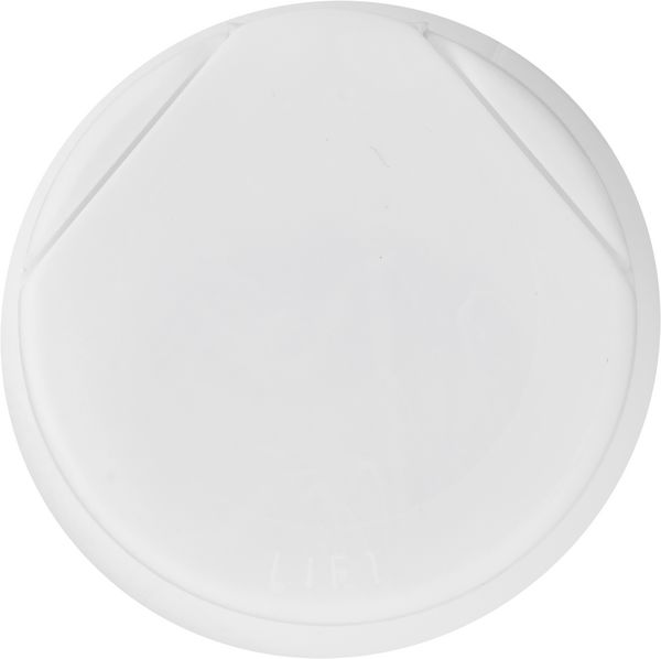 Planogram Top