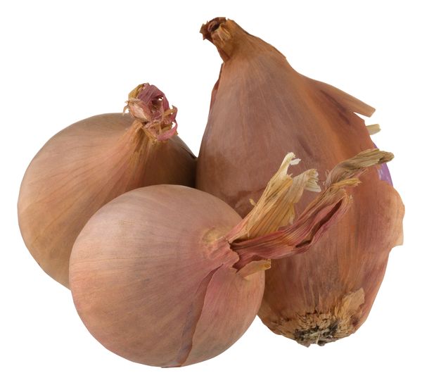 Shallots Recipe & Nutrition - Precision Nutrition's Encyclopedia of Food