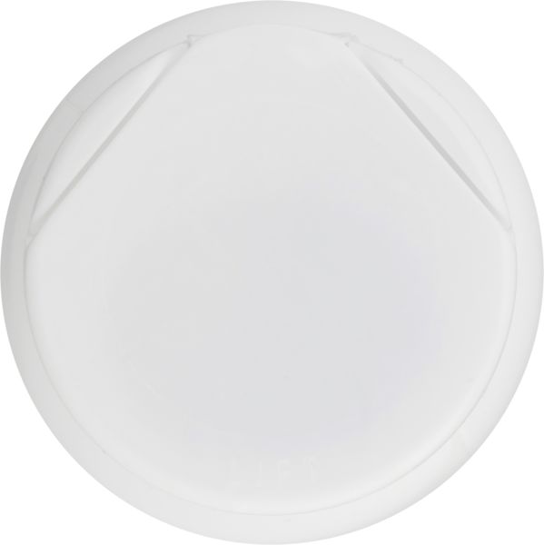 Planogram Top