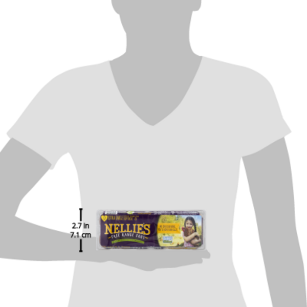 Save on Nellie's Grade A Brown Eggs Large Free Range All Natural Order  Online Delivery