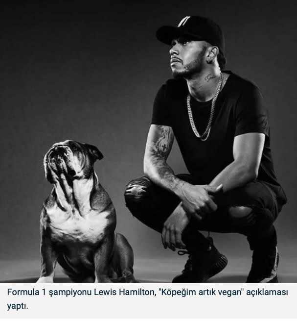 Formula Dünya Şampiyonu Lewis Hemilton