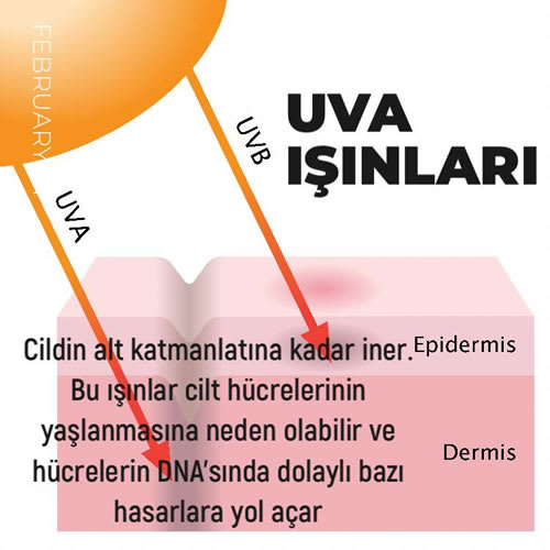 UVA - UVB Işınları Etkileri