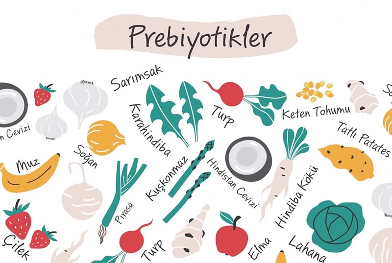 Prebiyotikler, meyveler, sebzeler