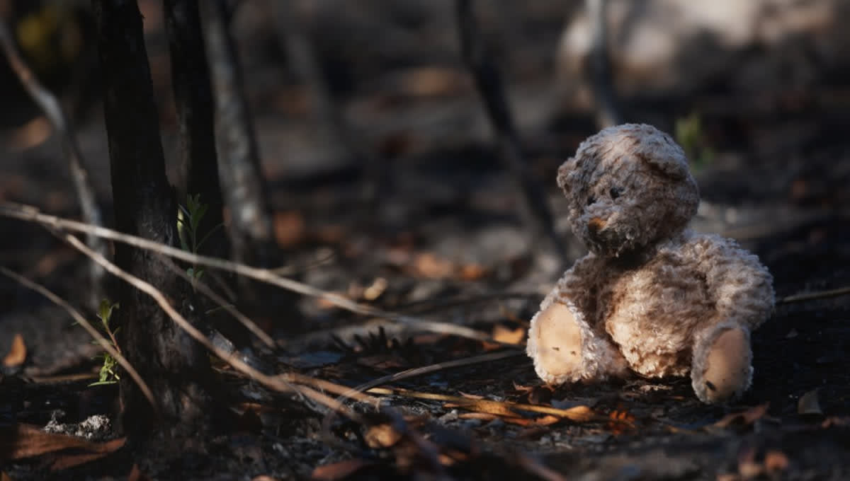 Doğa ana diyoruz ama ona saygıda kusur ediyoruz