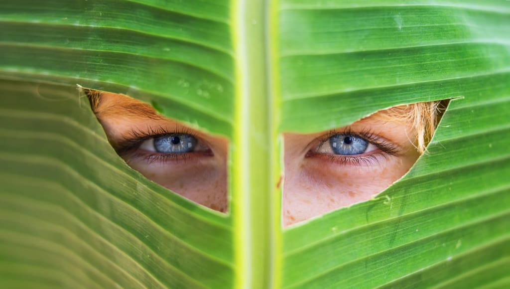 Syorell Vegan Balmlar