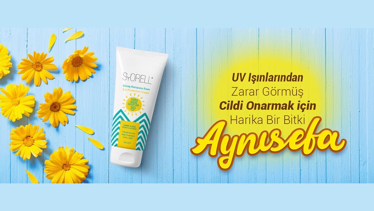 Cildi Onarmak için Harika Bitki Aynısefa