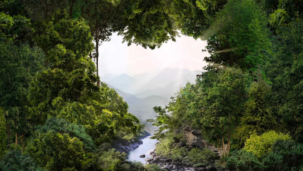 Güneş Kremleri ve Çevre: Zararları, Alternatifler ve Sürdürülebilir Güneş Koruma