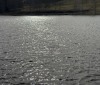 Nature Image