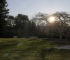 Nature Image
