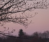 Nature Image