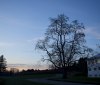 Nature Image