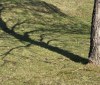 Nature Image