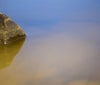 Nature Image