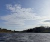 Nature Image