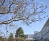 Nature Image