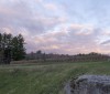 Nature Image