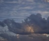 Nature Image