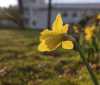 Nature Image