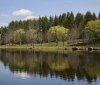 Nature Image