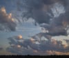 Nature Image