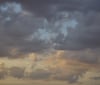 Nature Image