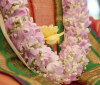 Nature Image