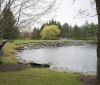 Nature Image