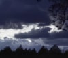 Nature Image
