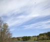 Nature Image