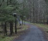 Nature Image