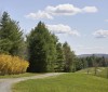 Nature Image