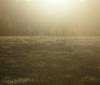 Nature Image