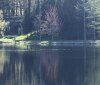 Nature Image