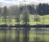 Nature Image