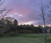 Nature Image