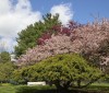 Nature Image