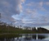 Nature Image