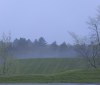 Nature Image