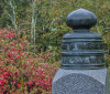 Nature Image