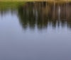Nature Image