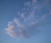 Nature Image