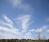 Nature Image