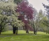 Nature Image