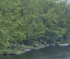 Nature Image