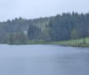 Nature Image